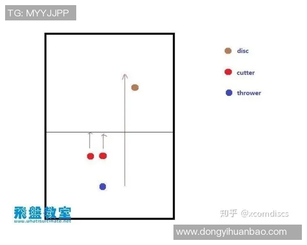 深入分析上海飞盘队独特防守策略与战术执行的全景解读