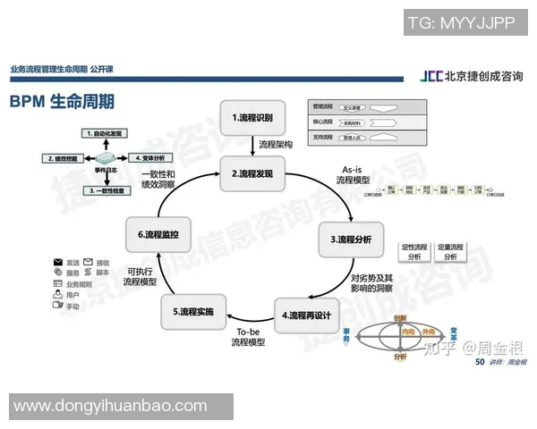 全面解析网站建设流程与优化技巧，助力企业打造高效专业网站平台